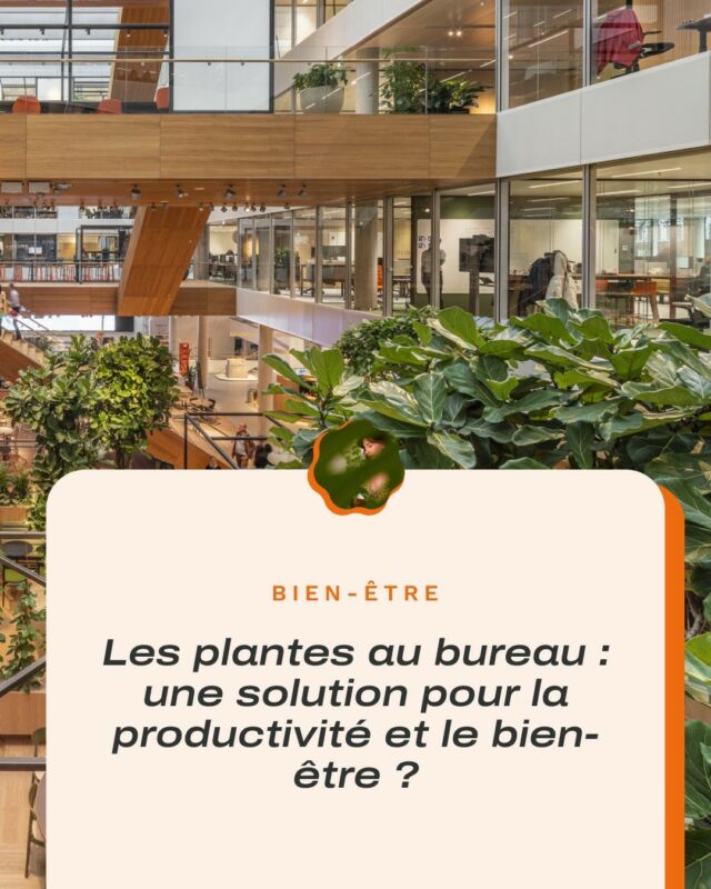 Et si on pouvait être plus épanoui.e.s au travail grâce au plantes ? 👩‍💻

Depuis plusieurs mois, @philodendrey se penche sur le sujet et ne s’attendait pas à tomber sur autant d’études 🤯

Entre 1998 à nos jours, les recherches ont toutes la même conclusion : les plantes ont des effets bénéfiques sur la santé physique et mentale des salariés 🫶 et in fine… sur les résultats des entreprises ! (Oui oui, vous allez pouvoir transmettre cet article à votre boss 🙈)

Envie de découvrir ces effets ? Rendez-vous sur le blog !

Et si vous ne savez pas par où commencer, des professionnels peuvent vous aider dans votre projet👇
- @lesempotes.fr 
- @rootine_lille 
- @psychoplantes_shop 
- @brumelaboutique 

L’article est en ligne (lien en bio)
Credit photo : OhfmanDujardin
☻
☻
☻

#plantsarefriends #plantes #urbanjunglebloggers #plantstagran #plantsplantsplants #plantslover #urbanjungle #plantaddiction #plants #plantaddict #plantsofinstagram #plantsmakepeoplehappy #plantesvertes #houseplantsmakemehappy #design #oxalispourpre #lespothos #hiver #greenteam #caladiums #planttips #conseilsplantes
